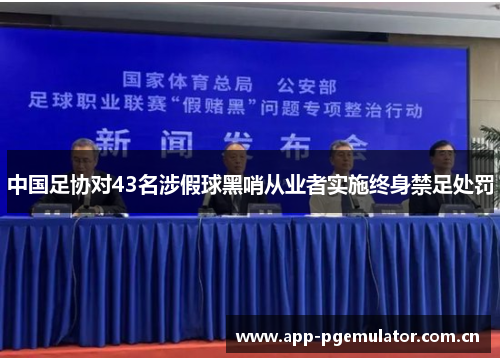 中国足协对43名涉假球黑哨从业者实施终身禁足处罚 中国足协对43名涉假球黑哨从业者实施终身禁足处罚