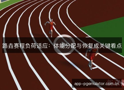 路垚赛程负荷适应：体能分配与恢复成关键看点